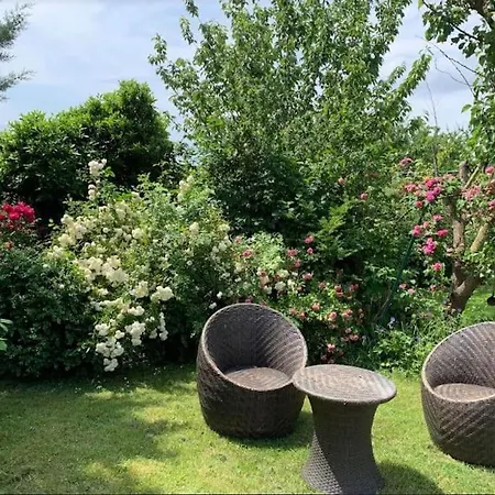 Dans Son Ecrin De Verdure, Piscine Privee, Totalement Privee * Missy-sur-Aisne