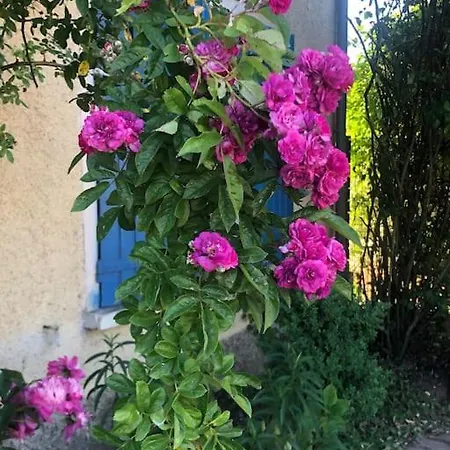 Holiday home Dans Son Ecrin De Verdure, Piscine Privee, Totalement Privee